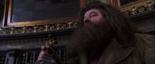 CS-Potterish_05212.jpg