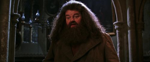 CS-Potterish_05223.jpg