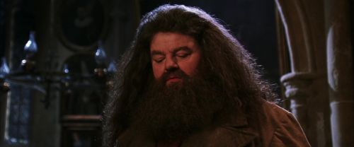 CS-Potterish_05237.jpg