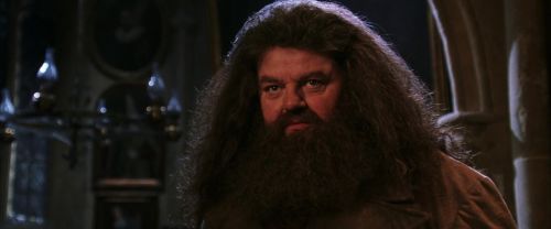 CS-Potterish_05238.jpg