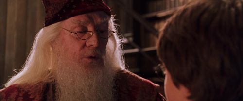 CS-Potterish_05259.jpg
