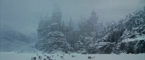 CS-Potterish_05290.jpg