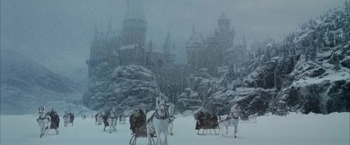 CS-Potterish_05294.jpg