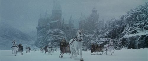 Click to view full size image
==============
CS-Potterish_05295.jpg CS-Potterish_05295.jpg