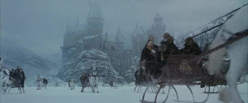 Click to view full size image
==============
CS-Potterish_05297.jpg CS-Potterish_05297.jpg