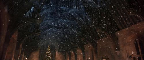 CS-Potterish_05310.jpg