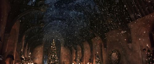 CS-Potterish_05311.jpg
