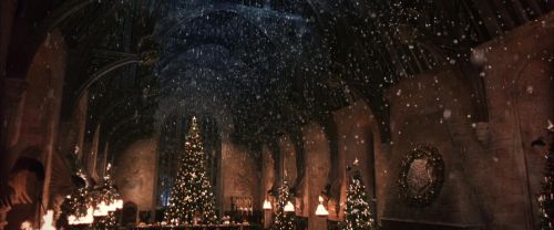 CS-Potterish_05312.jpg