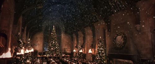 CS-Potterish_05313.jpg