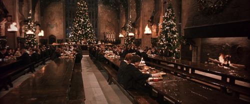 CS-Potterish_05319.jpg