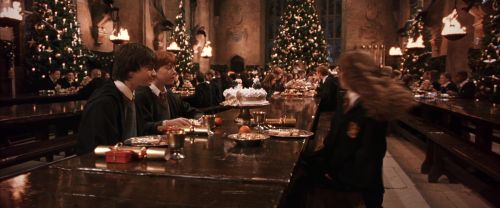 CS-Potterish_05325.jpg