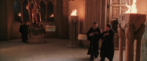 CS-Potterish_05408.jpg