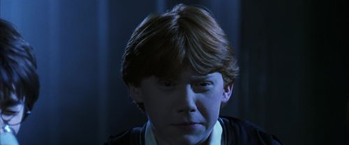 CS-Potterish_05483.jpg