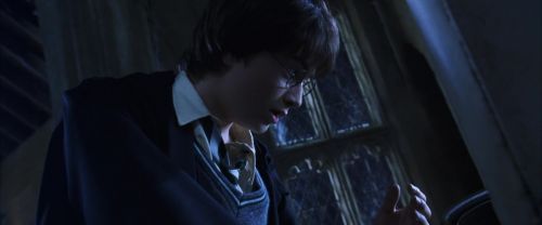 CS-Potterish_05511.jpg