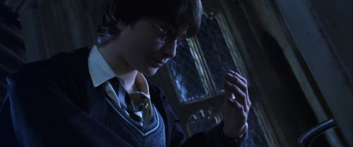 CS-Potterish_05512.jpg