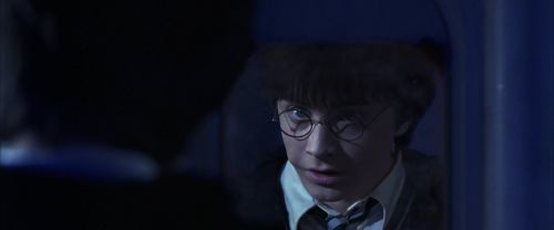 CS-Potterish_05517.jpg