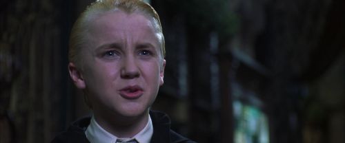 CS-Potterish_05781.jpg