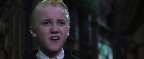 CS-Potterish_05783.jpg