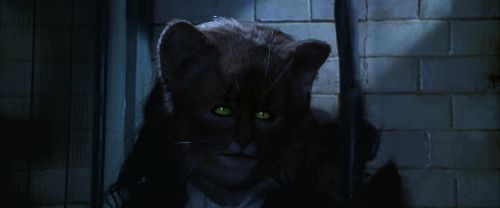 Click to view full size image
==============
CS-Potterish_05851.jpg CS-Potterish_05851.jpg