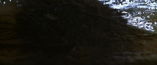Click to view full size image
==============
CS-Potterish_05881.jpg CS-Potterish_05881.jpg