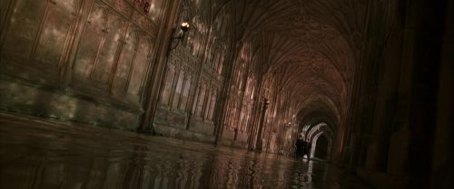 CS-Potterish_05885.jpg