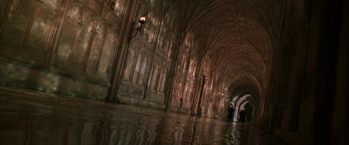 CS-Potterish_05886.jpg
