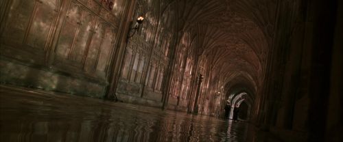 CS-Potterish_05887.jpg
