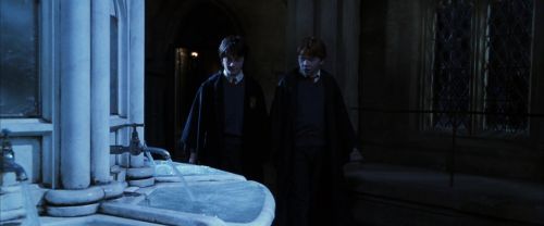 CS-Potterish_05897.jpg