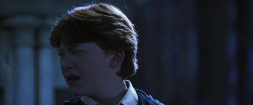 Click to view full size image
==============
CS-Potterish_05926.jpg CS-Potterish_05926.jpg