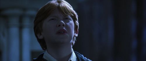 CS-Potterish_05928.jpg