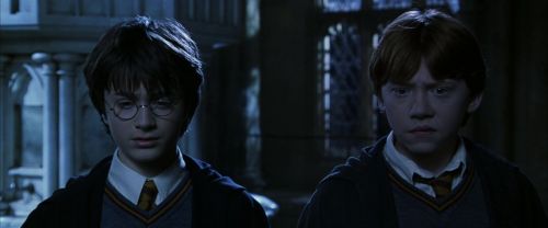 CS-Potterish_05962.jpg