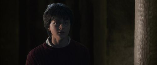 CS-Potterish_06343.jpg