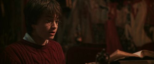 CS-Potterish_06390.jpg