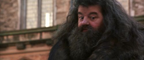 Click to view full size image
==============
CS-Potterish_06433.jpg CS-Potterish_06433.jpg