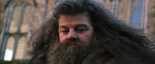 CS-Potterish_06439.jpg