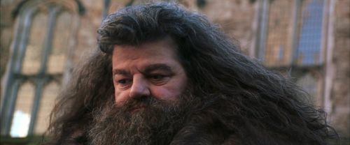 CS-Potterish_06440.jpg