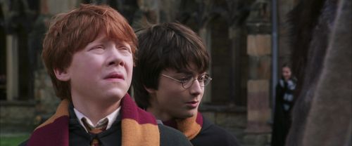 Click to view full size image
==============
CS-Potterish_06441.jpg CS-Potterish_06441.jpg