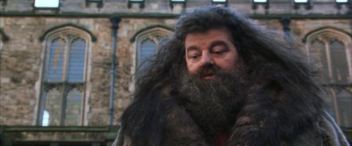 CS-Potterish_06443.jpg