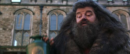 CS-Potterish_06445.jpg