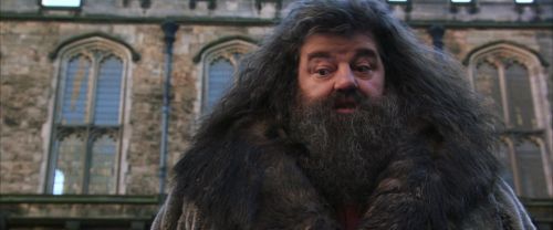 CS-Potterish_06451.jpg