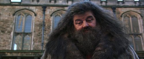 CS-Potterish_06452.jpg