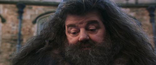 CS-Potterish_06459.jpg