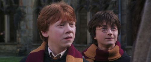 CS-Potterish_06462.jpg