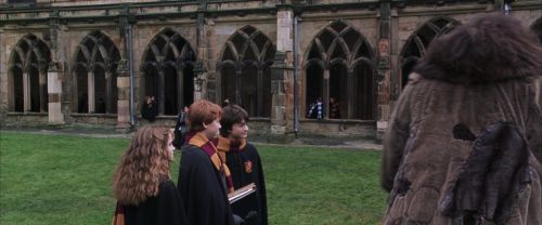 Click to view full size image
==============
CS-Potterish_06473.jpg CS-Potterish_06473.jpg
