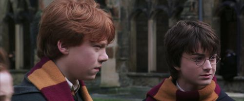 CS-Potterish_06486.jpg
