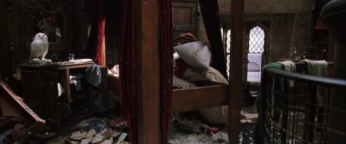 CS-Potterish_06506.jpg