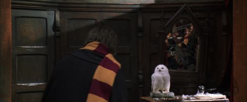 Click to view full size image
==============
CS-Potterish_06512.jpg CS-Potterish_06512.jpg