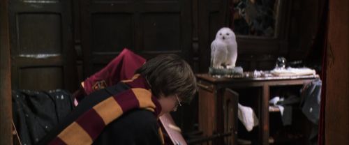 Click to view full size image
==============
CS-Potterish_06513.jpg CS-Potterish_06513.jpg