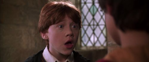 CS-Potterish_06673.jpg