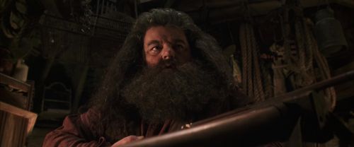 CS-Potterish_06695.jpg